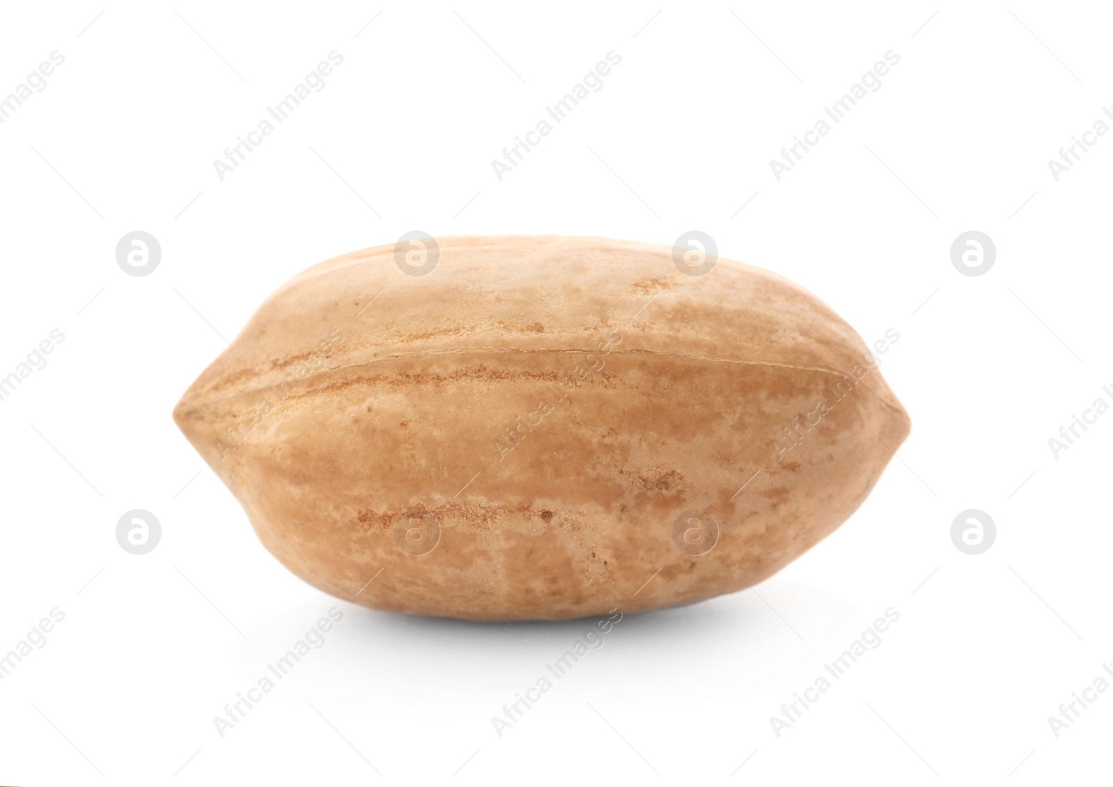 Photo of Pecan nut in shell on white background. Nutritive food