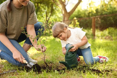 Mother and her daughter planting tree together in garden