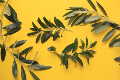 Photo of Olive twigs with fresh green leaves on yellow background, flat lay