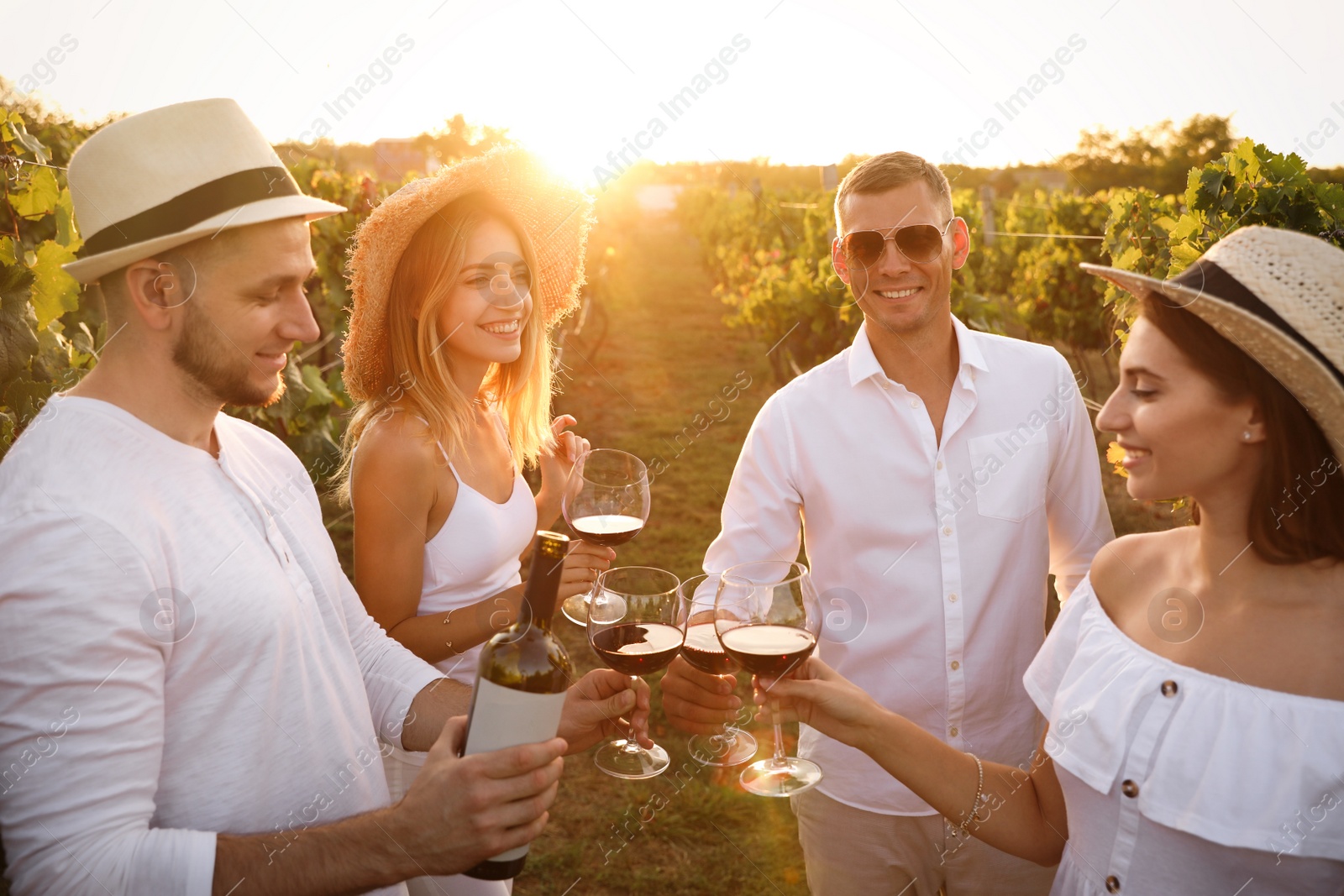 Photo of Friends clinking glasses of red wine in vineyard on sunny day