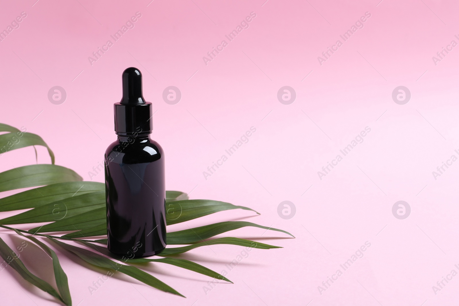 Photo of Bottle with cosmetic oil and green leaf on pink background. Space for text