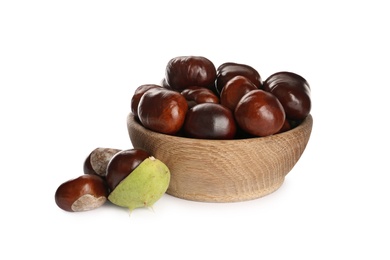 Horse chestnuts in bowl on white background