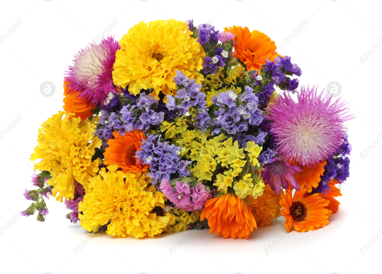 Photo of Bunch of beautiful wild flowers on white background