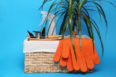 Photo of Basket with gardening gloves, tools and green houseplant on light blue background