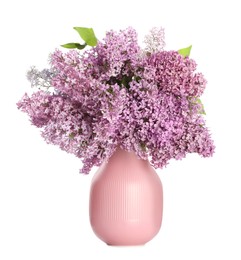 Beautiful lilac flowers in vase isolated on white