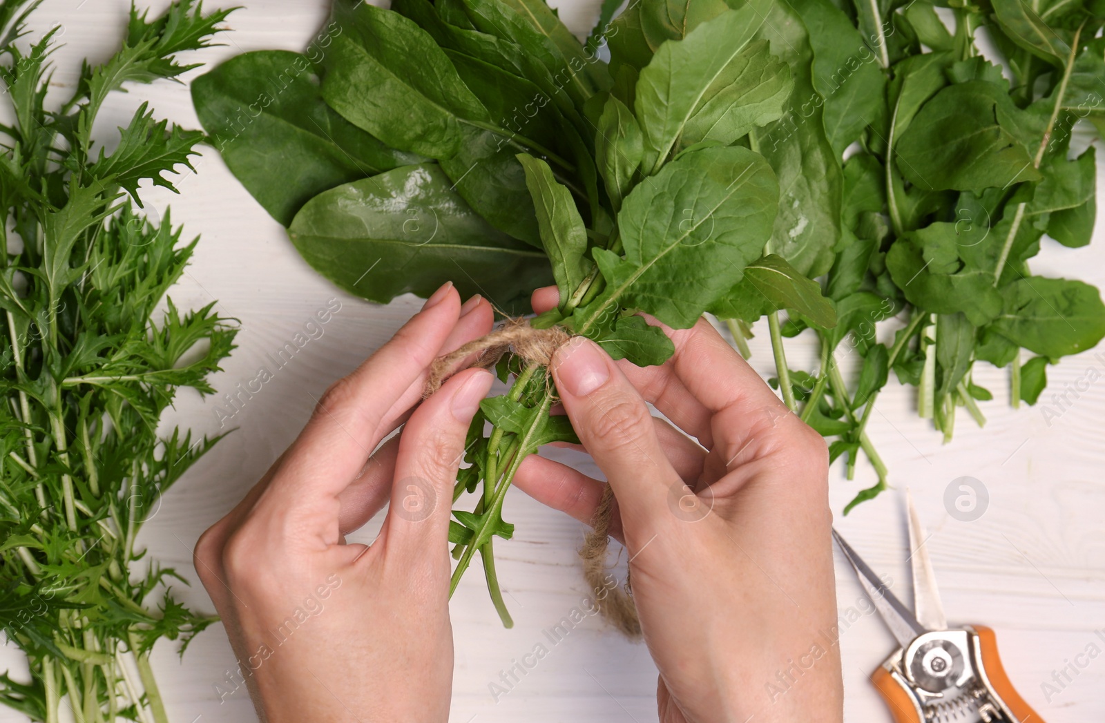 Photo of Woman tying bunch of fresh green leaves with twine at white wooden table, top view