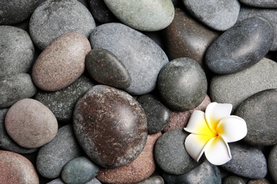 Composition with spa stones and beautiful flower as background, top view