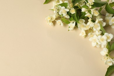 Aromatic jasmine flowers and green leaves on beige background, flat lay. Space for text