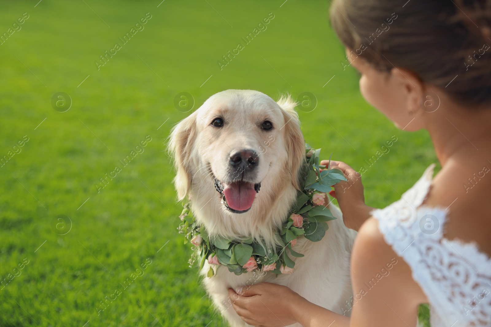 Photo of Bride and adorable Golden Retriever wearing wreath made of beautiful flowers on green grass outdoors, closeup