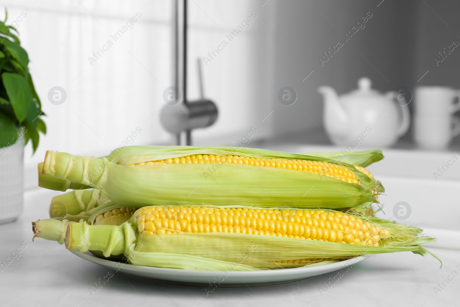 Photo of Tasty sweet corn cobs on white countertop in kitchen