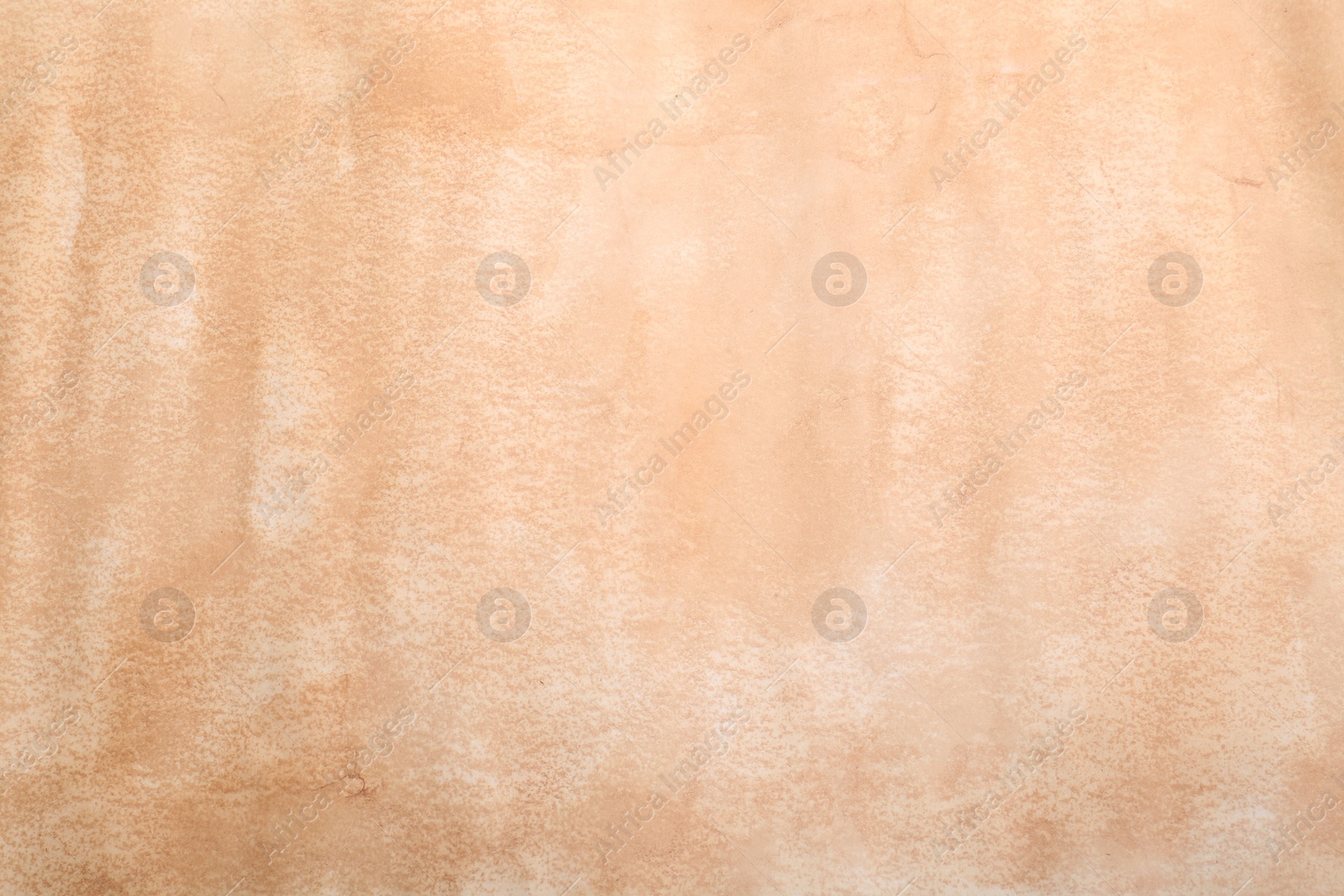 Photo of Blank sheet of old parchment paper as background, top view
