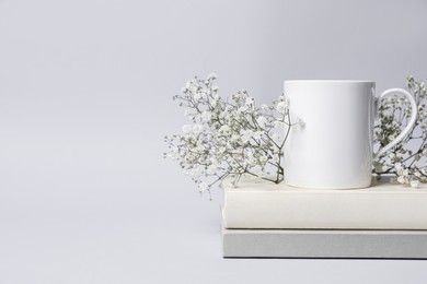 Photo of White ceramic mug, dry flowers and stack of books on light background, space for text
