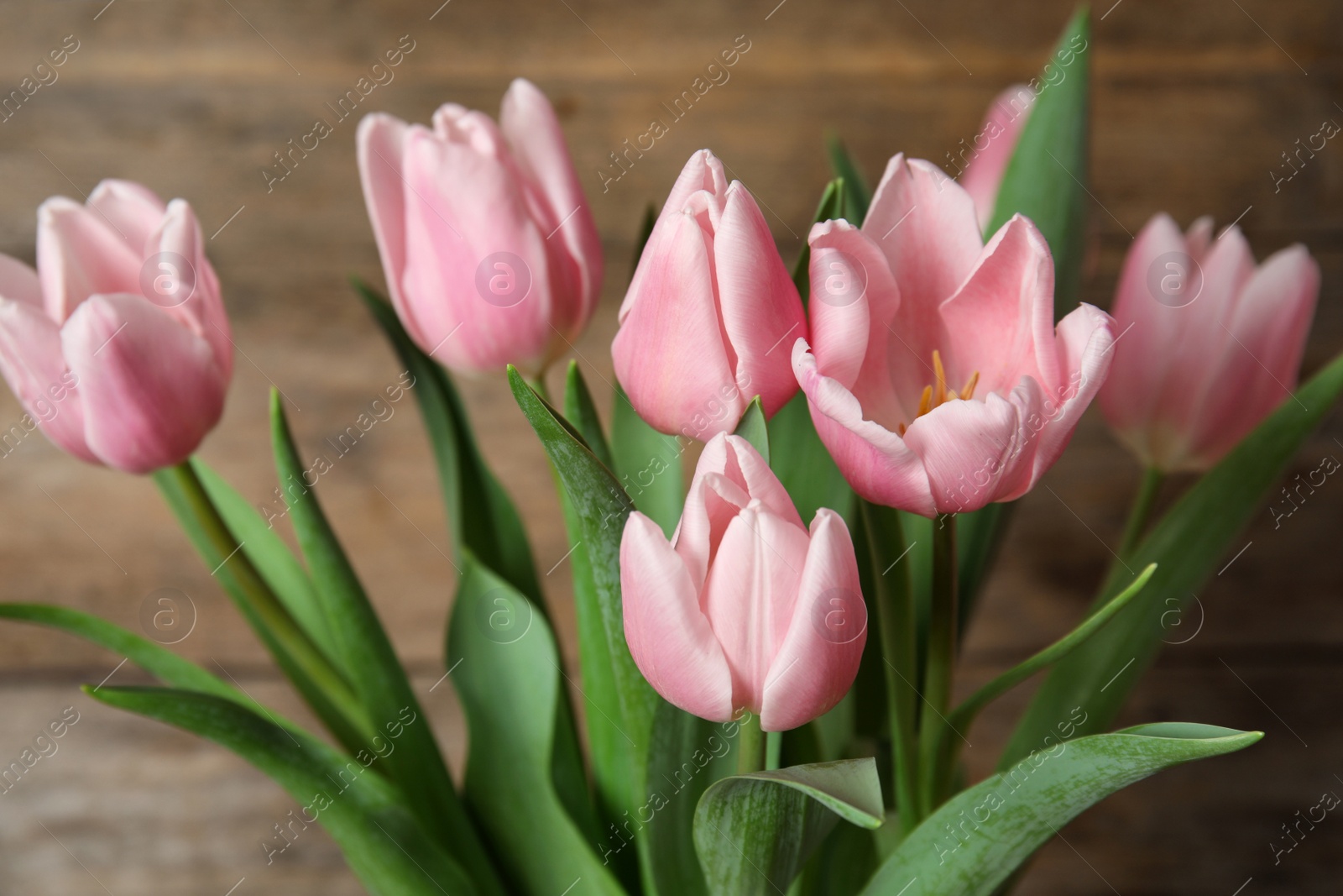 Photo of Beautiful pink spring tulips on wooden background, closeup