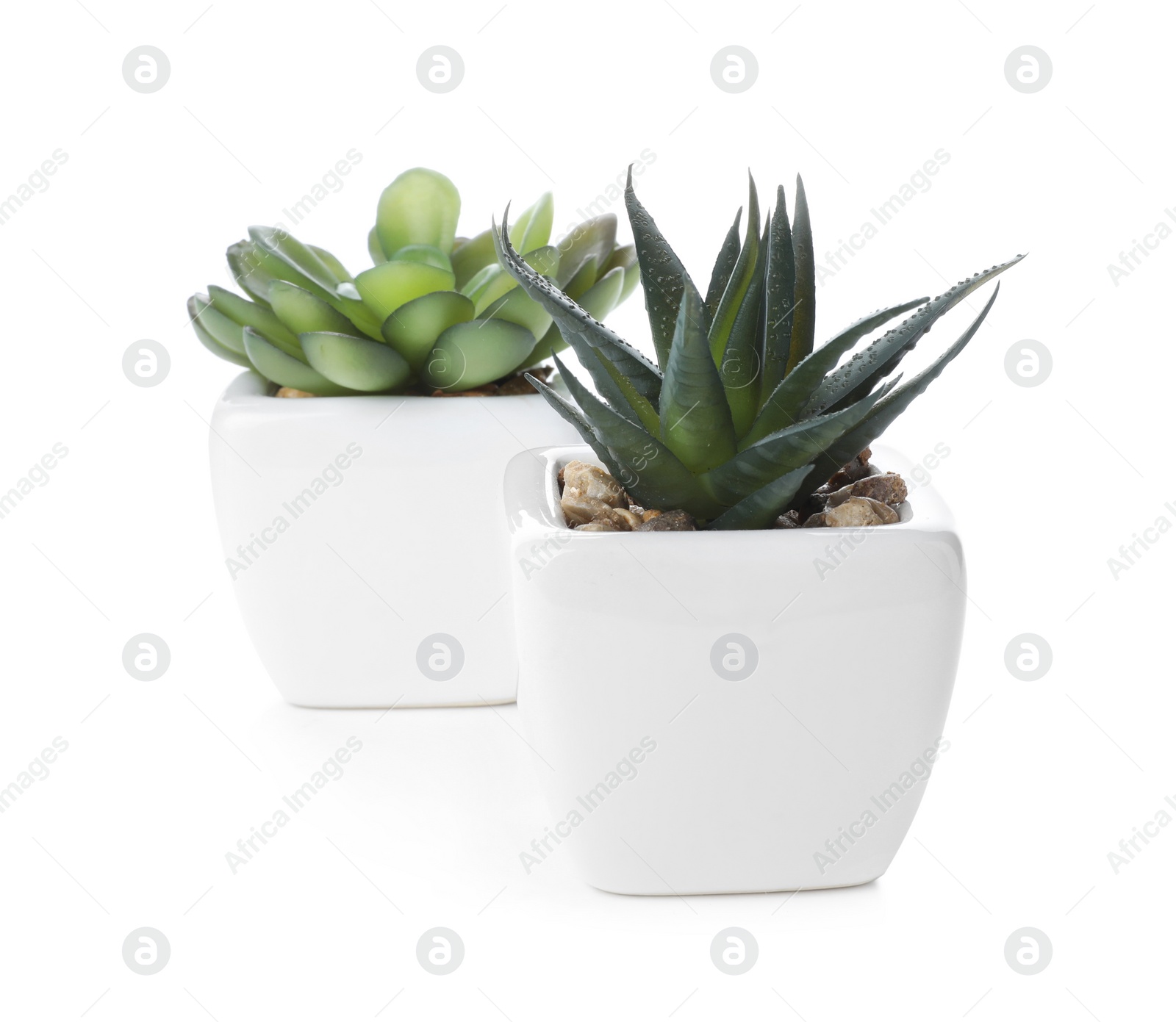 Photo of Beautiful artificial plants in flower pots isolated on white