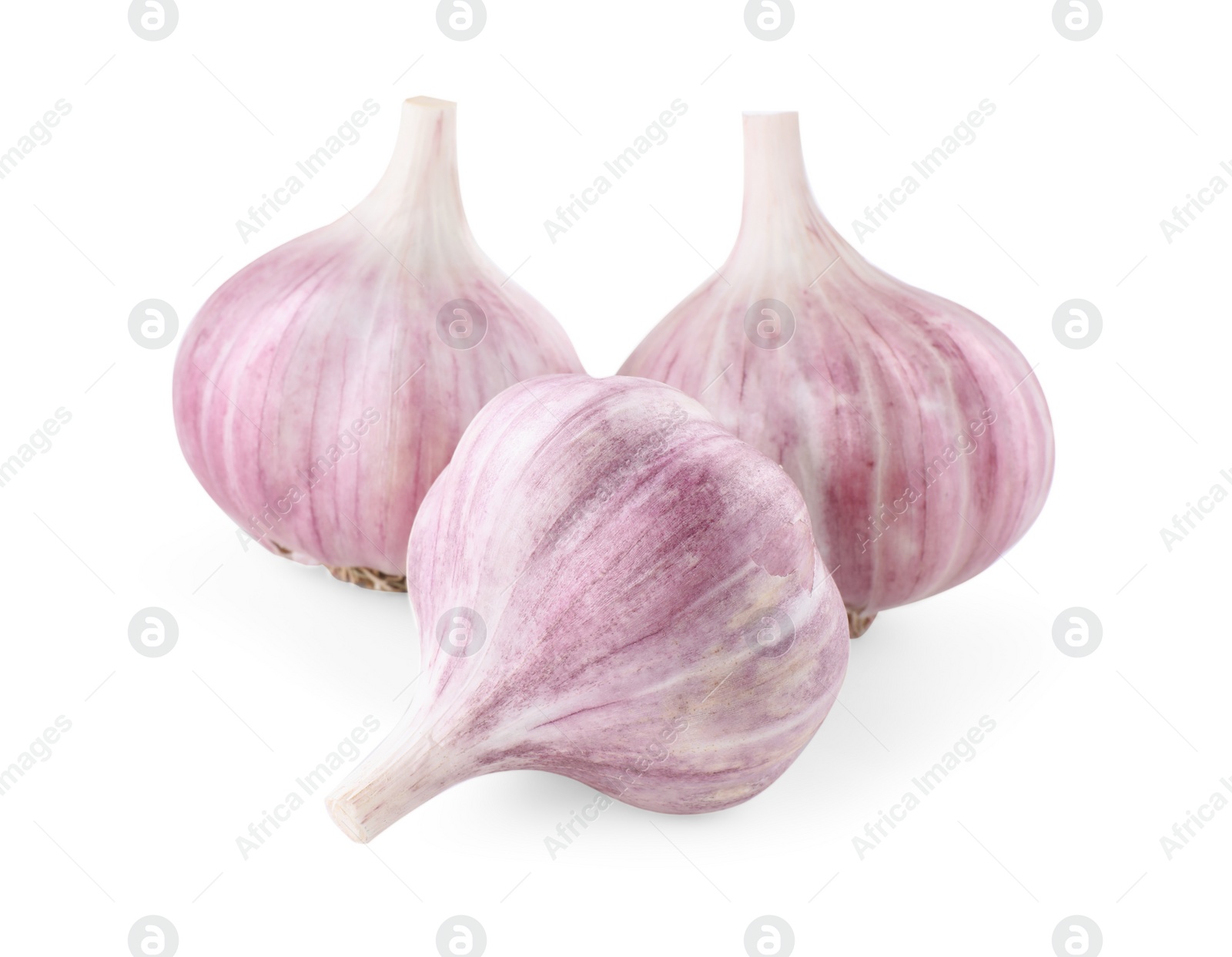 Photo of Fresh raw garlic heads isolated on white