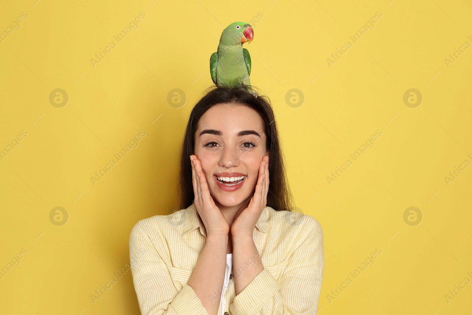 Photo of Young woman with Alexandrine parakeet on yellow background. Cute pet