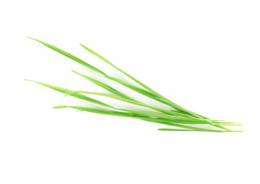 Wheat grass on white background, top view