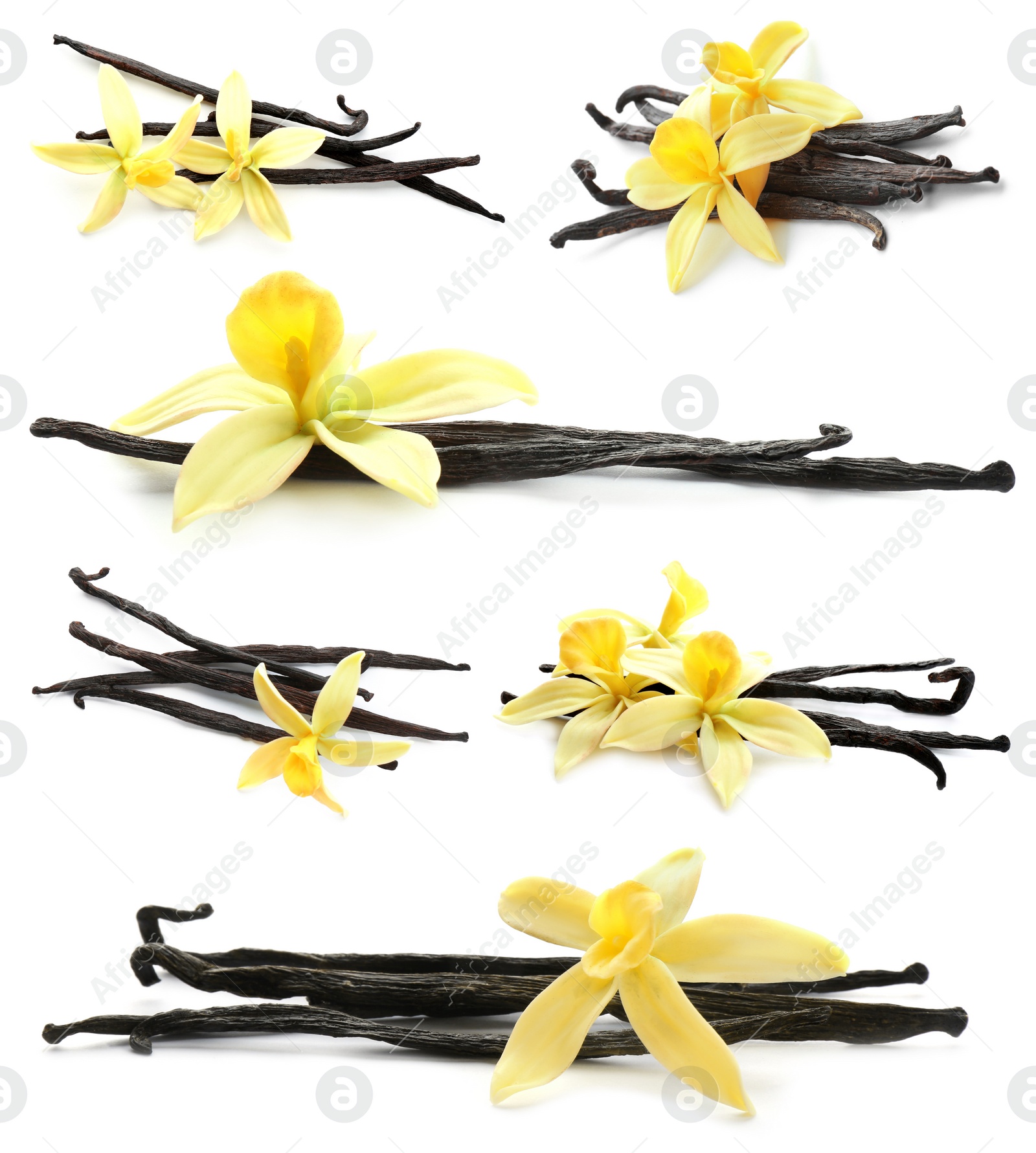 Image of Set with aromatic vanilla pods and flowers on white background