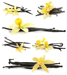 Image of Set with aromatic vanilla pods and flowers on white background