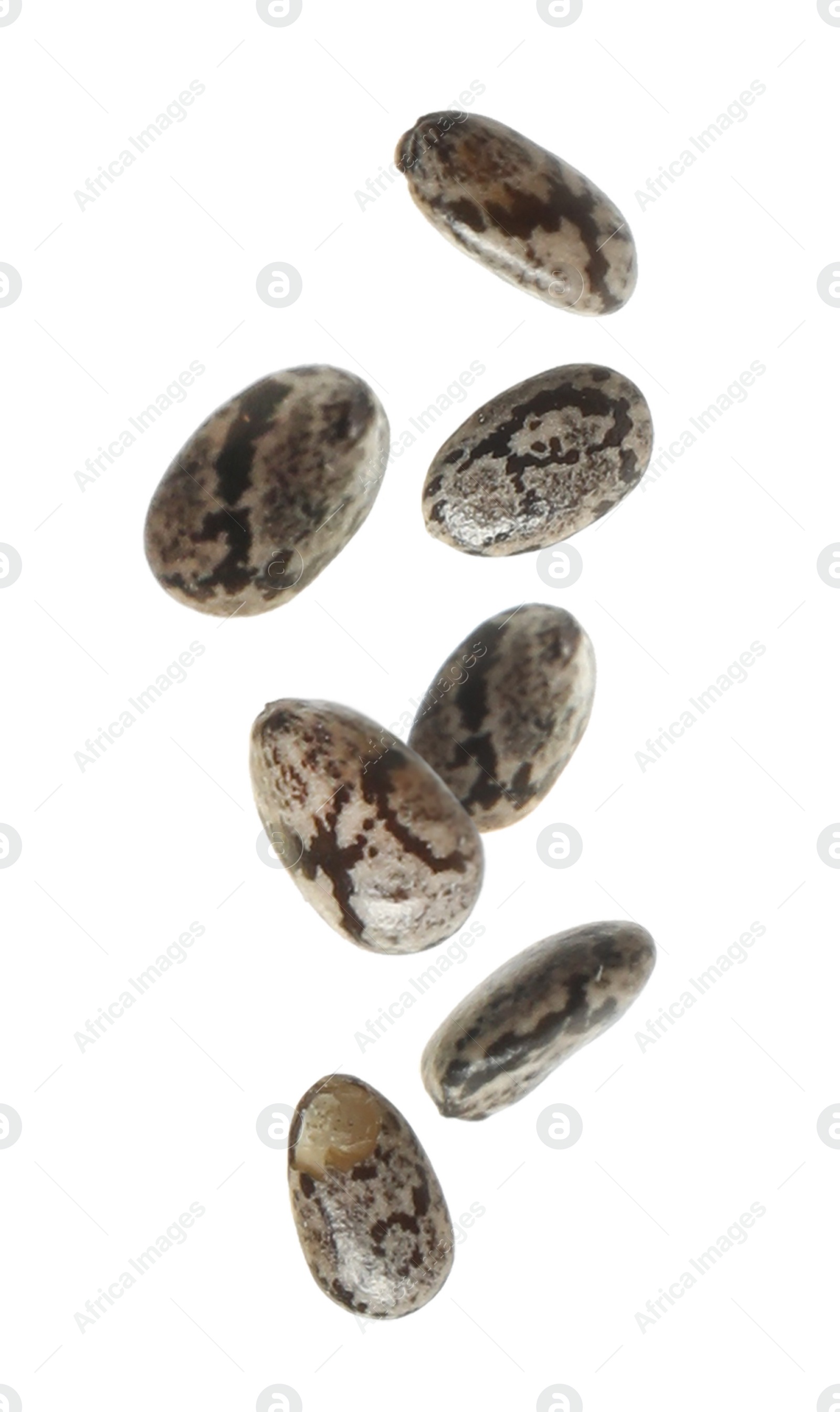 Image of Many chia grains falling on white background, vertical banner design. Vegan diet 