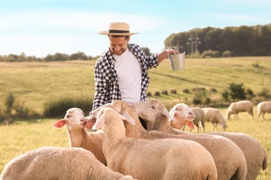 Smiling farmer with bucket feeding animals on pasture
