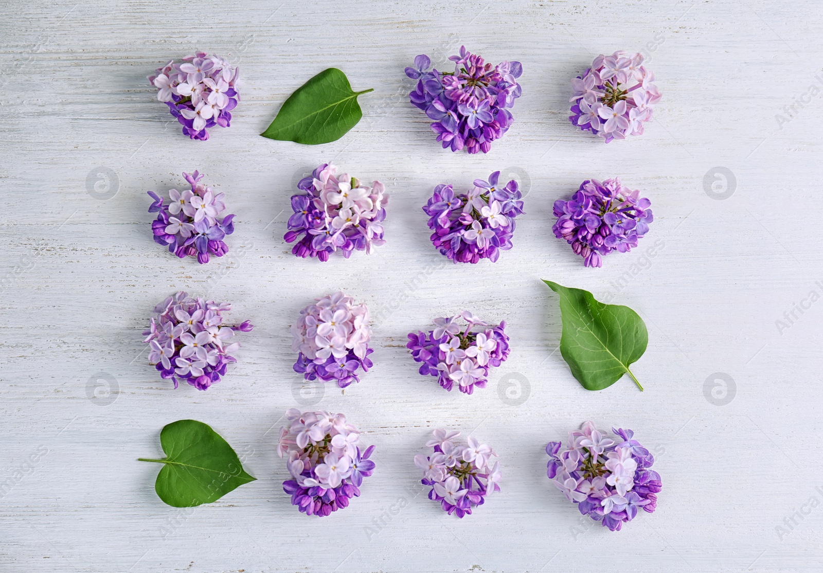 Photo of Flat lay composition with beautiful blossoming lilac on light background. Spring flowers