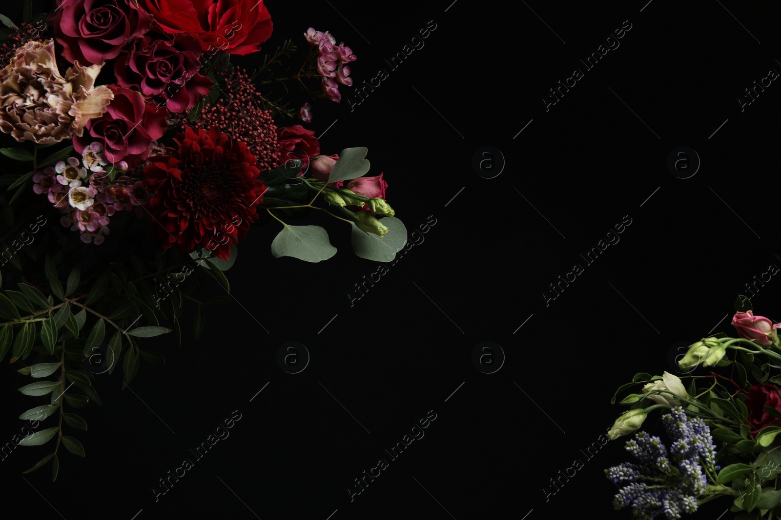 Photo of Beautiful fresh flowers on dark background, space for text