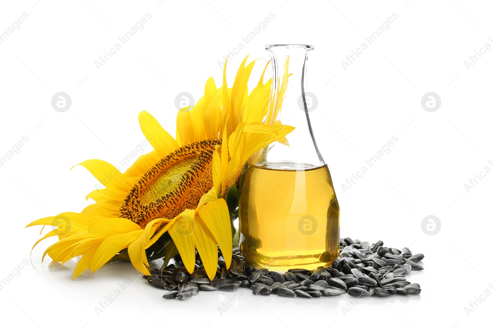 Photo of Sunflower, bottle of oil and seeds on white background