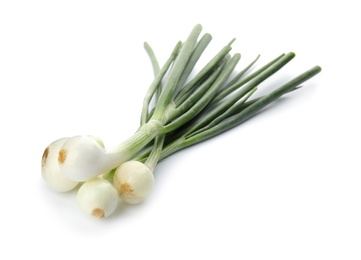 Photo of Fresh green onion on white background