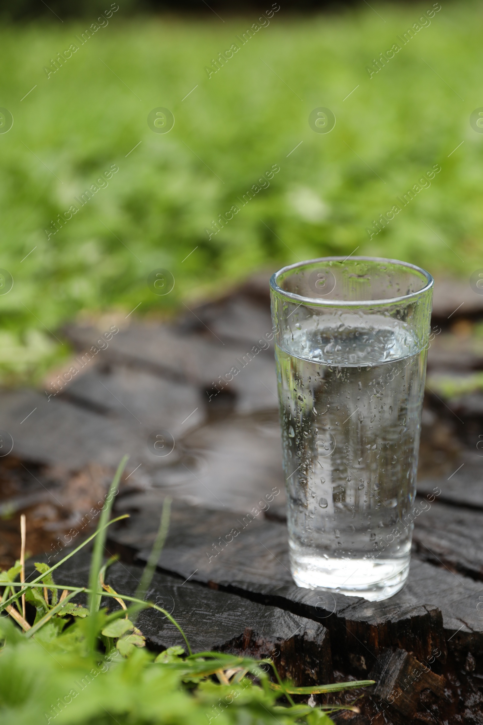 Photo of Glass of fresh water on wooden stump in green grass outdoors. Space for text