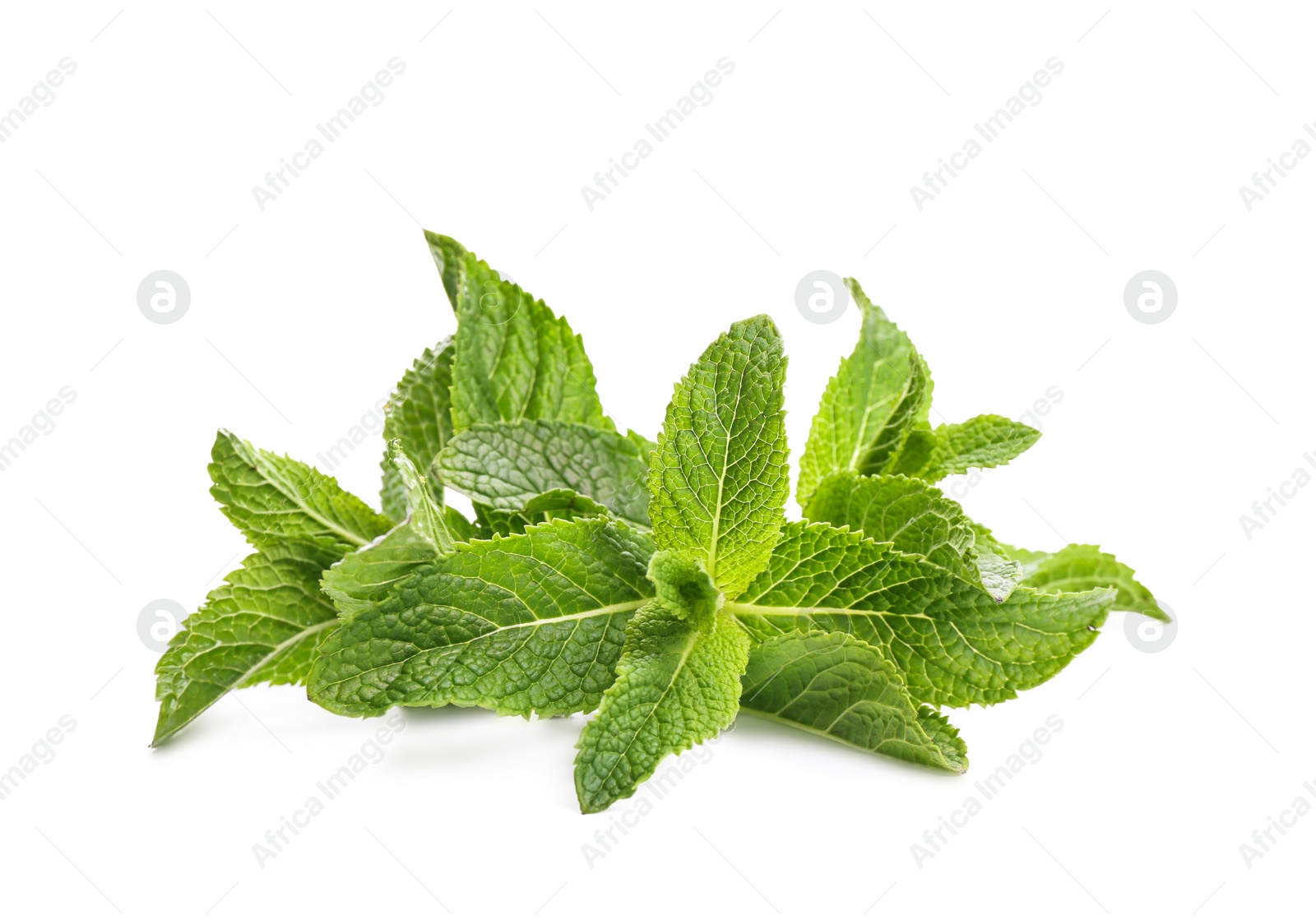 Photo of Fresh green mint leaves on white background