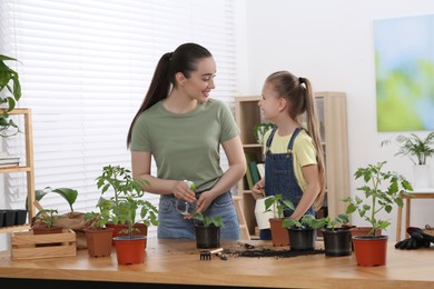 Photo of Mother and daughter taking care of seedlings together at wooden table in room