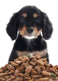 Image of Cute English cocker Spaniel puppy and pile of dog food on white background