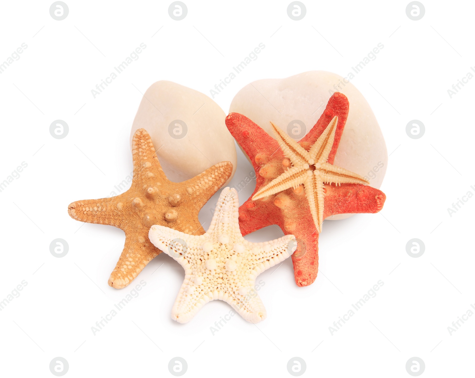 Photo of Beautiful sea stars (starfishes) and stones isolated on white