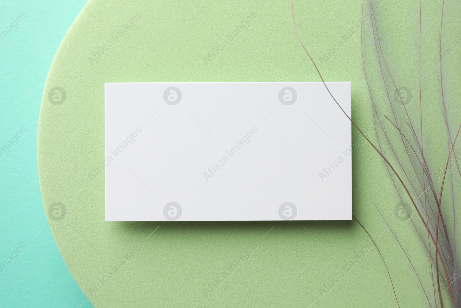 Photo of Empty business card, decorative podium and plant on light blue background, top view. Mockup for design