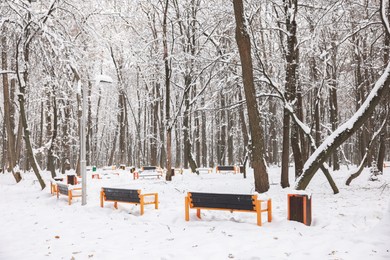 Photo of Trees and benches covered with snow in winter park