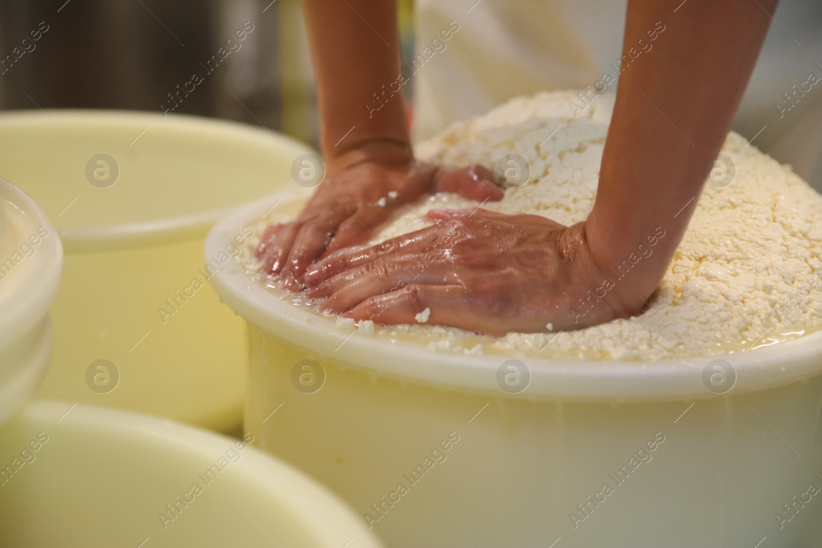 Photo of Worker pressing curd into mould at cheese factory, closeup