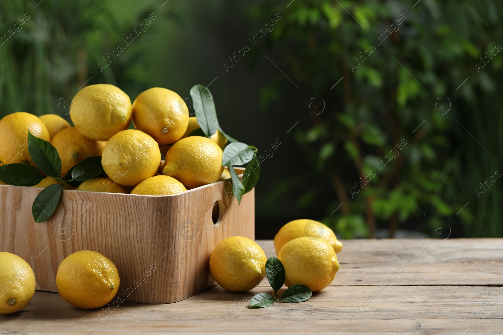 Photo of Fresh lemons in crate on wooden table. Space for text