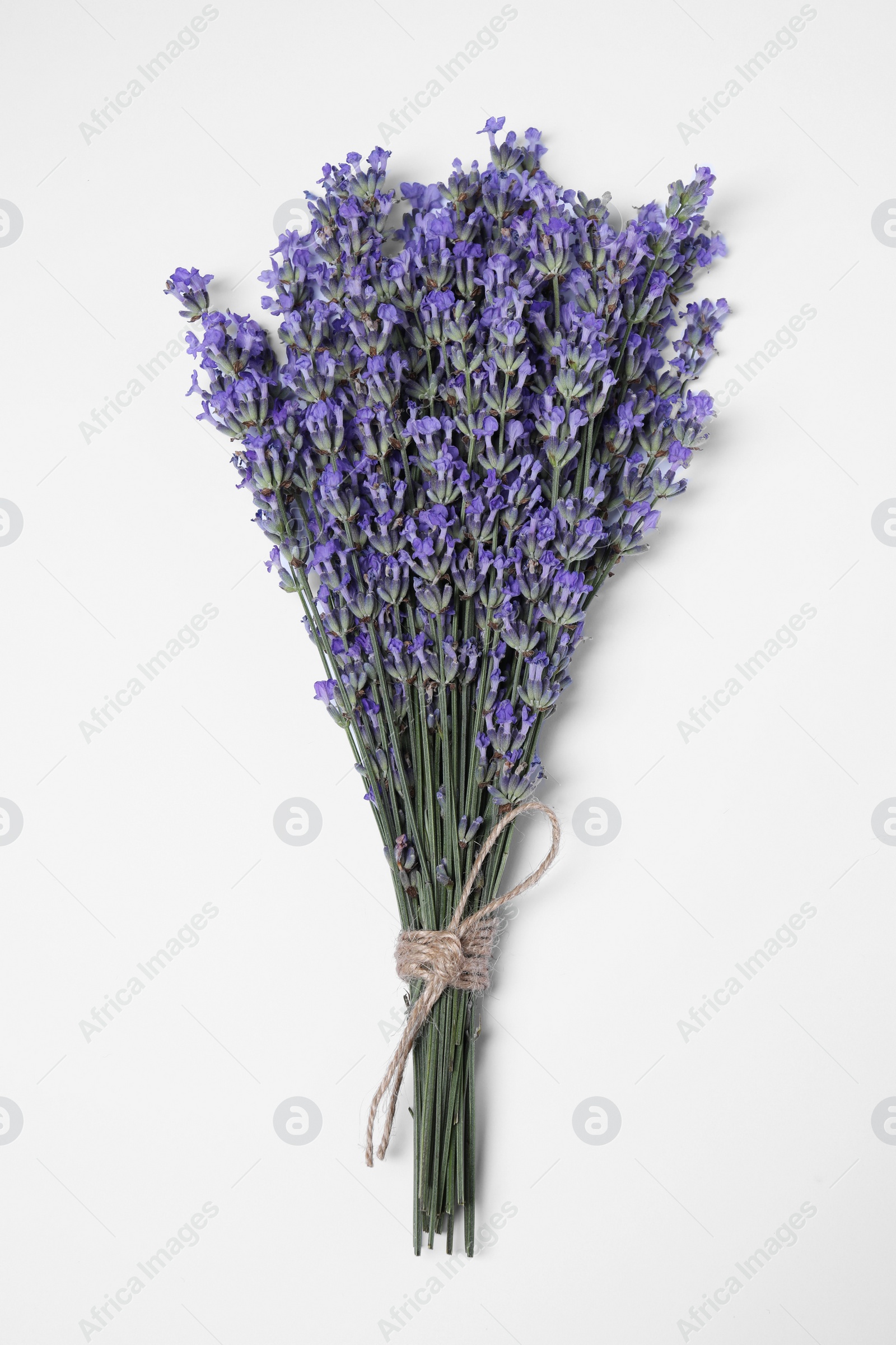 Photo of Bunch of aromatic lavender flowers on white background, top view