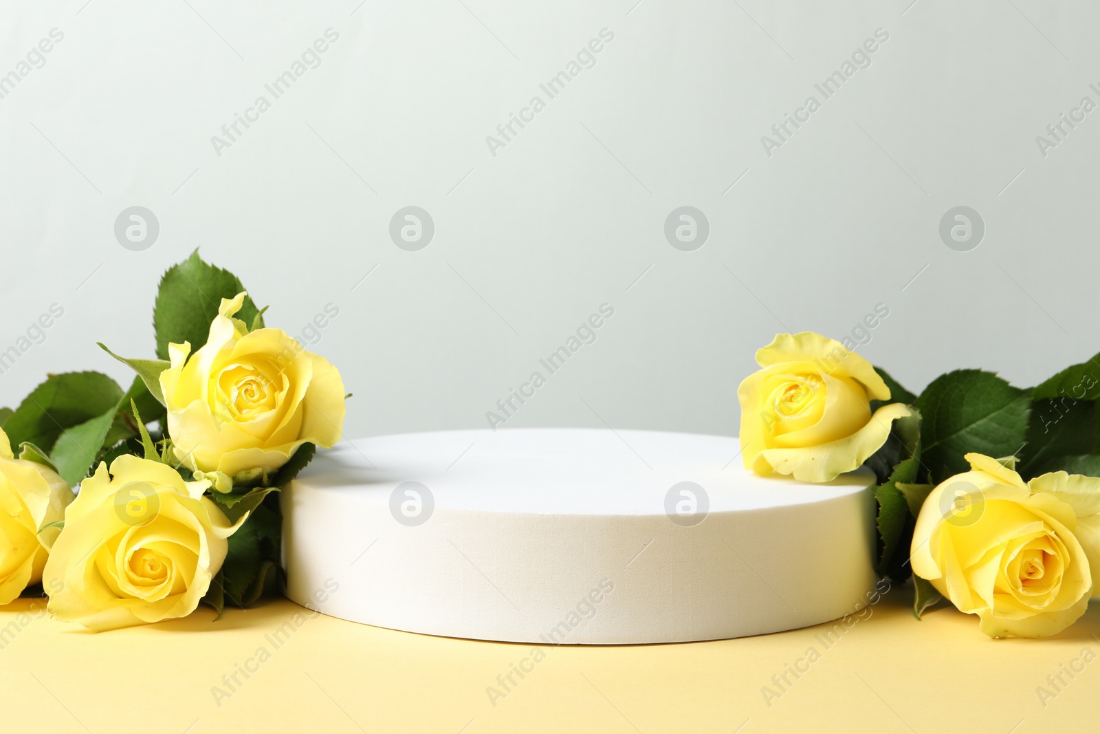 Photo of Beautiful presentation for product. Round podium and yellow roses on beige table against light grey background, space for text