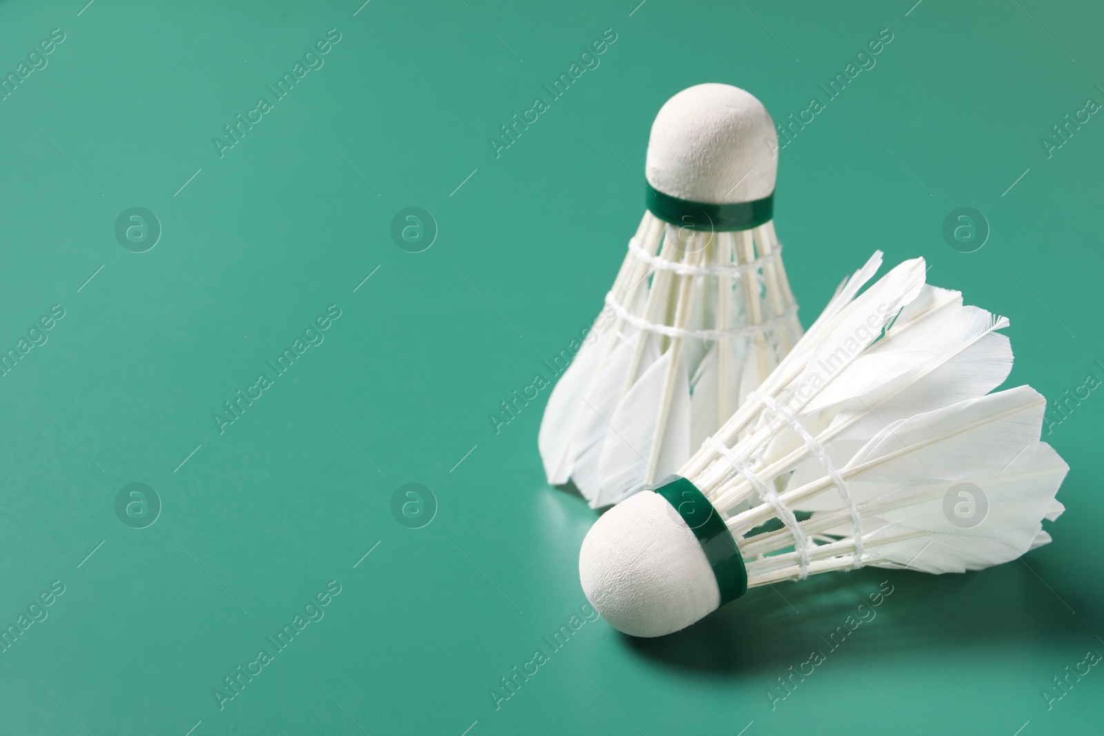 Photo of Feather badminton shuttlecocks on green background, closeup. Space for text