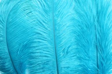 Photo of Beautiful light blue feathers as background, closeup