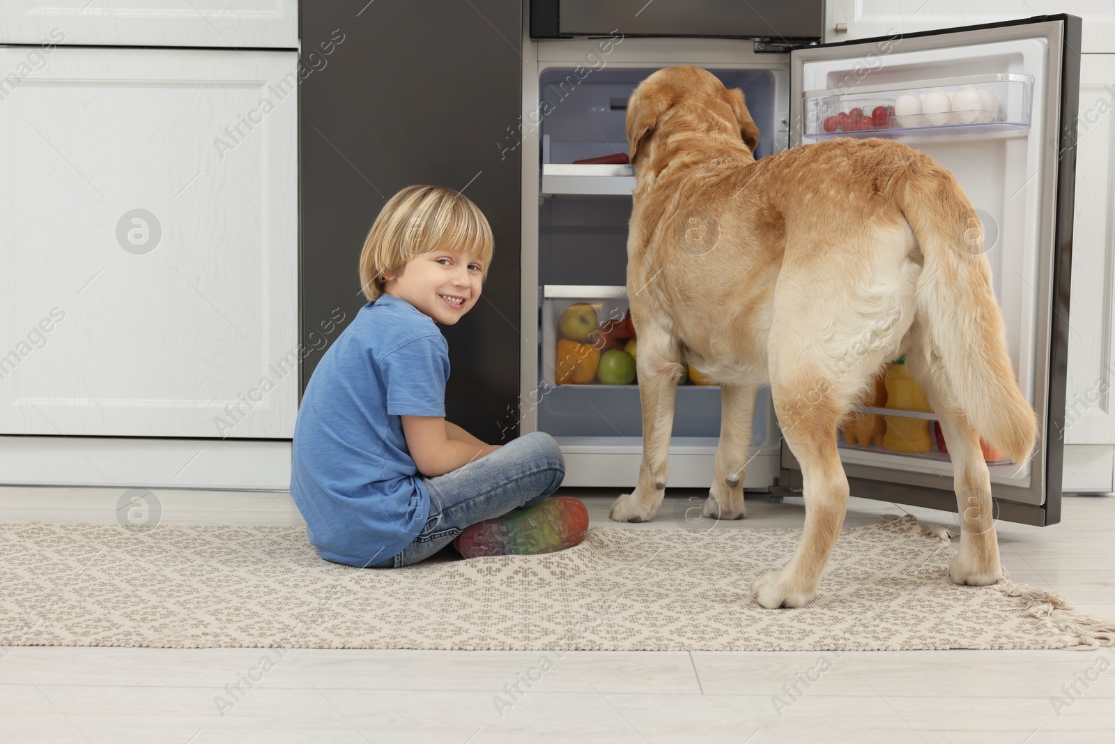 Photo of Little boy and cute Labrador Retriever seeking for food in refrigerator indoors