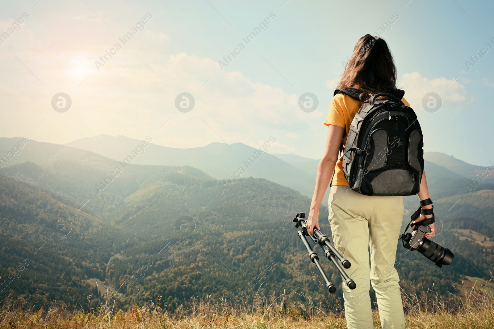 Photo of Professional photographer with modern camera and tripod in mountains, back view. Space for text