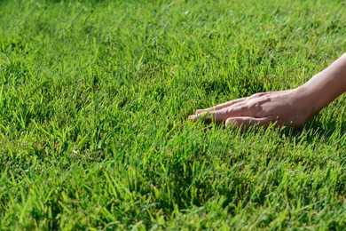 Photo of Woman touching fresh grass on green lawn, closeup. Space for text