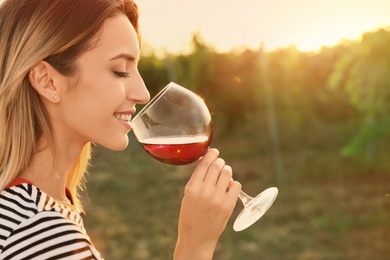 Photo of Young beautiful woman enjoying wine at vineyard on sunny day. Space for text