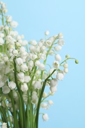 Beautiful lily of the valley flowers on light blue background, closeup