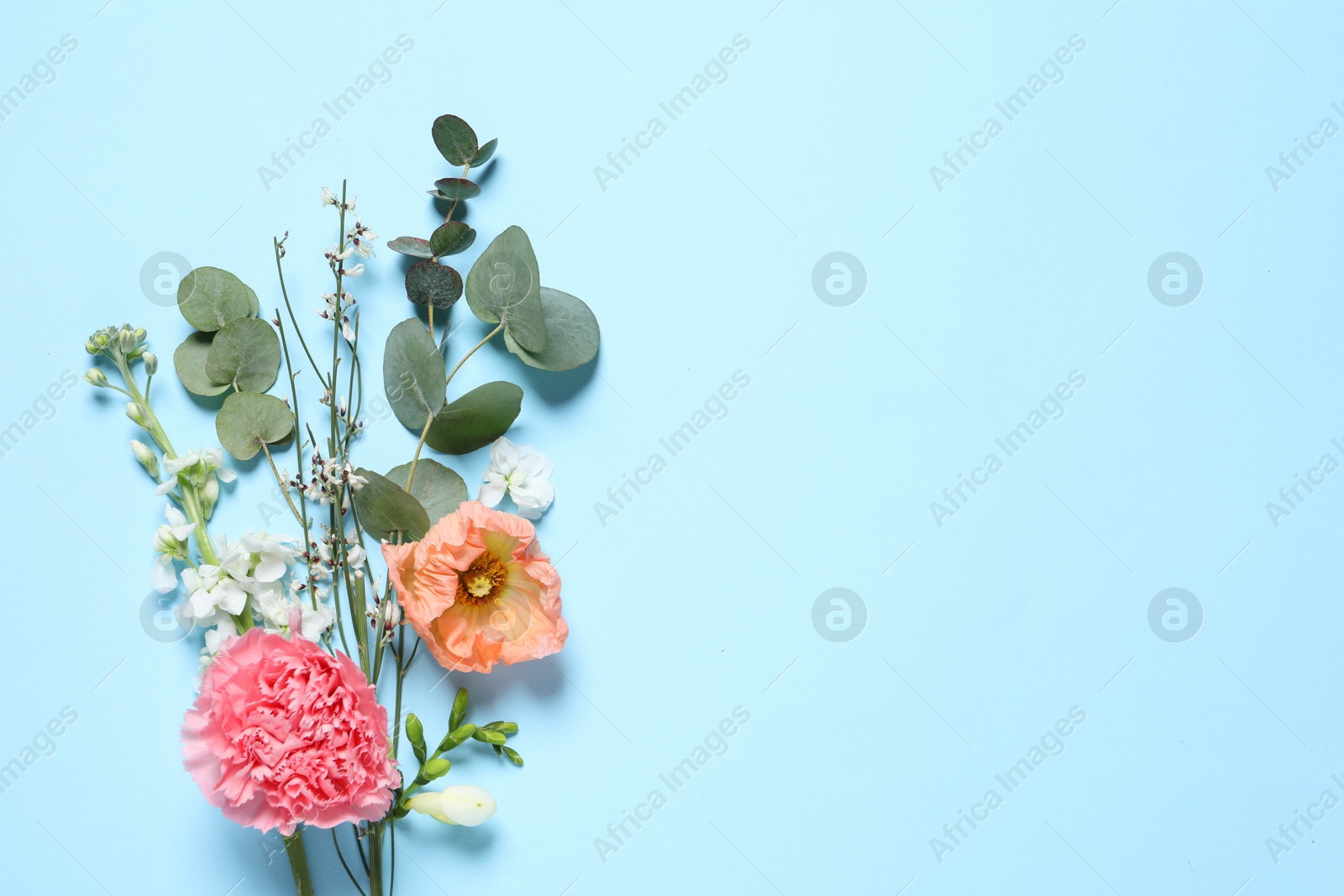 Photo of Different beautiful flowers on light blue background, flat lay. Space for text