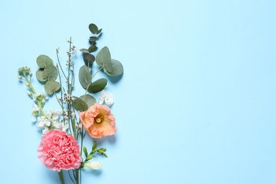 Different beautiful flowers on light blue background, flat lay. Space for text