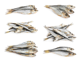 Image of Set of tasty dry fish on white background